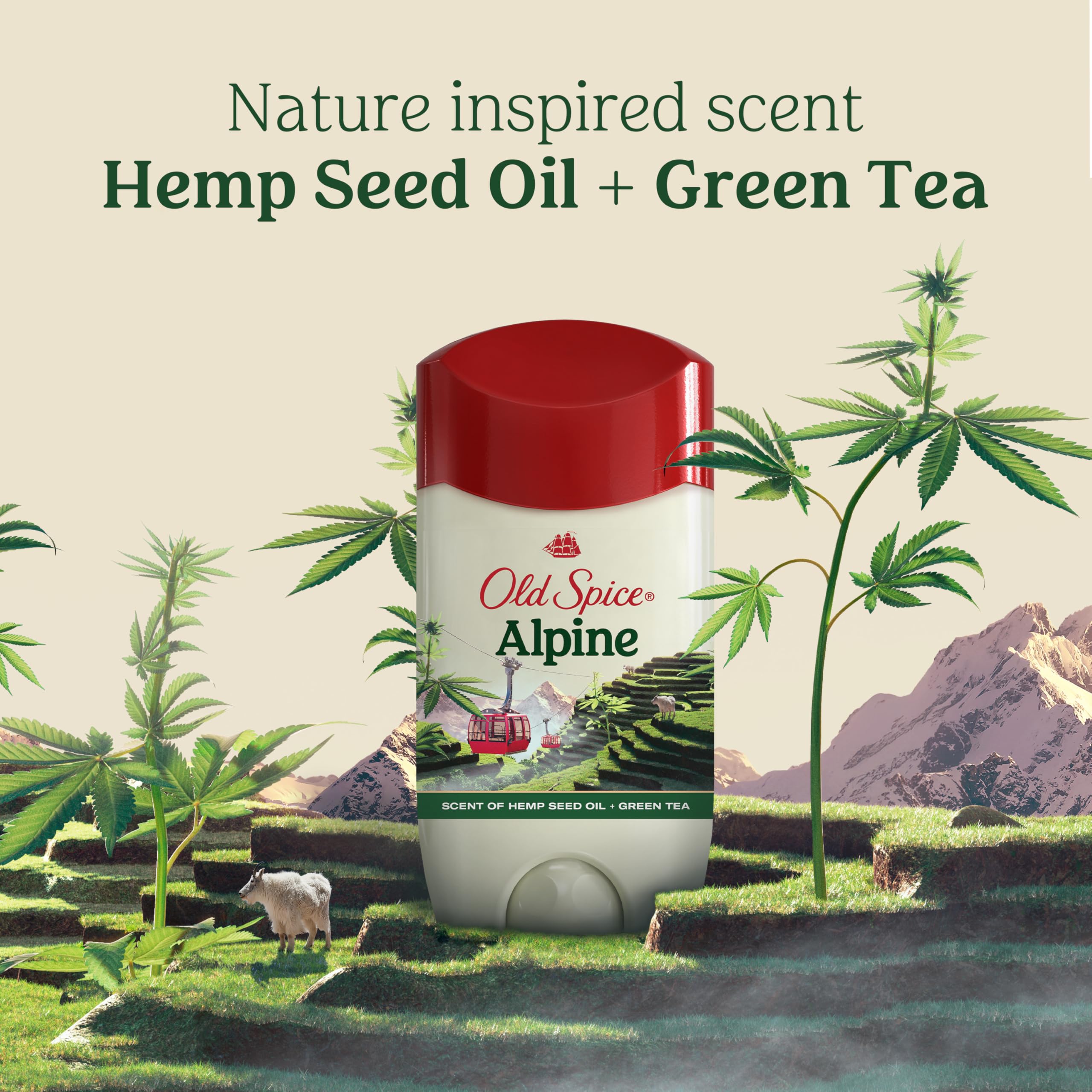 Old Spice Men's Antiperspirant & Deodorant Alpine with Hemp Oil, 2.6oz (Pack of 3) - Image 7
