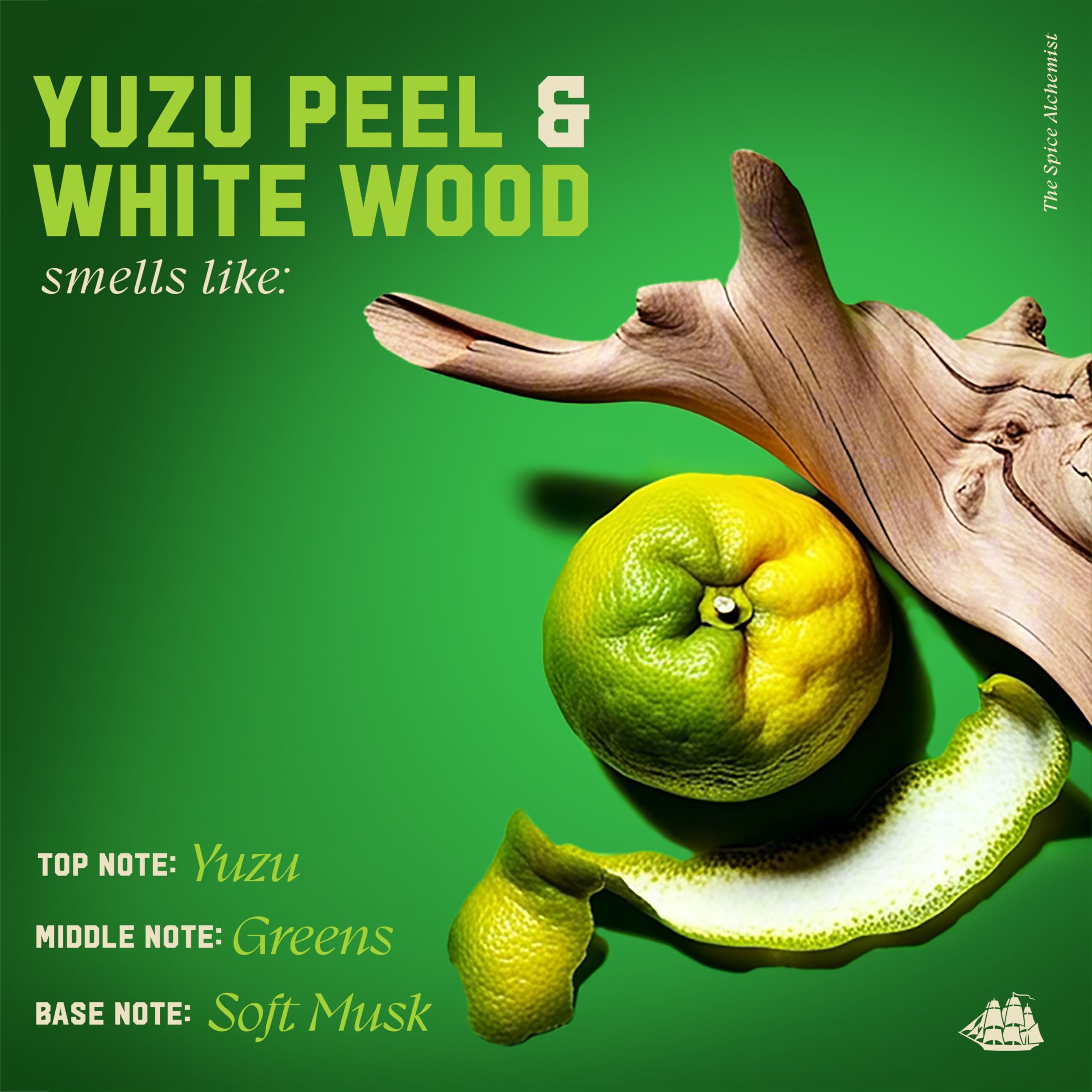 Old Spice Mens Shampoo, The Spice Alchemist Collection, Cologne-Infused Yuzu Peel & White Wood Scent, Free of Parabens & Phthalates, 21.9 fl oz - Image 5