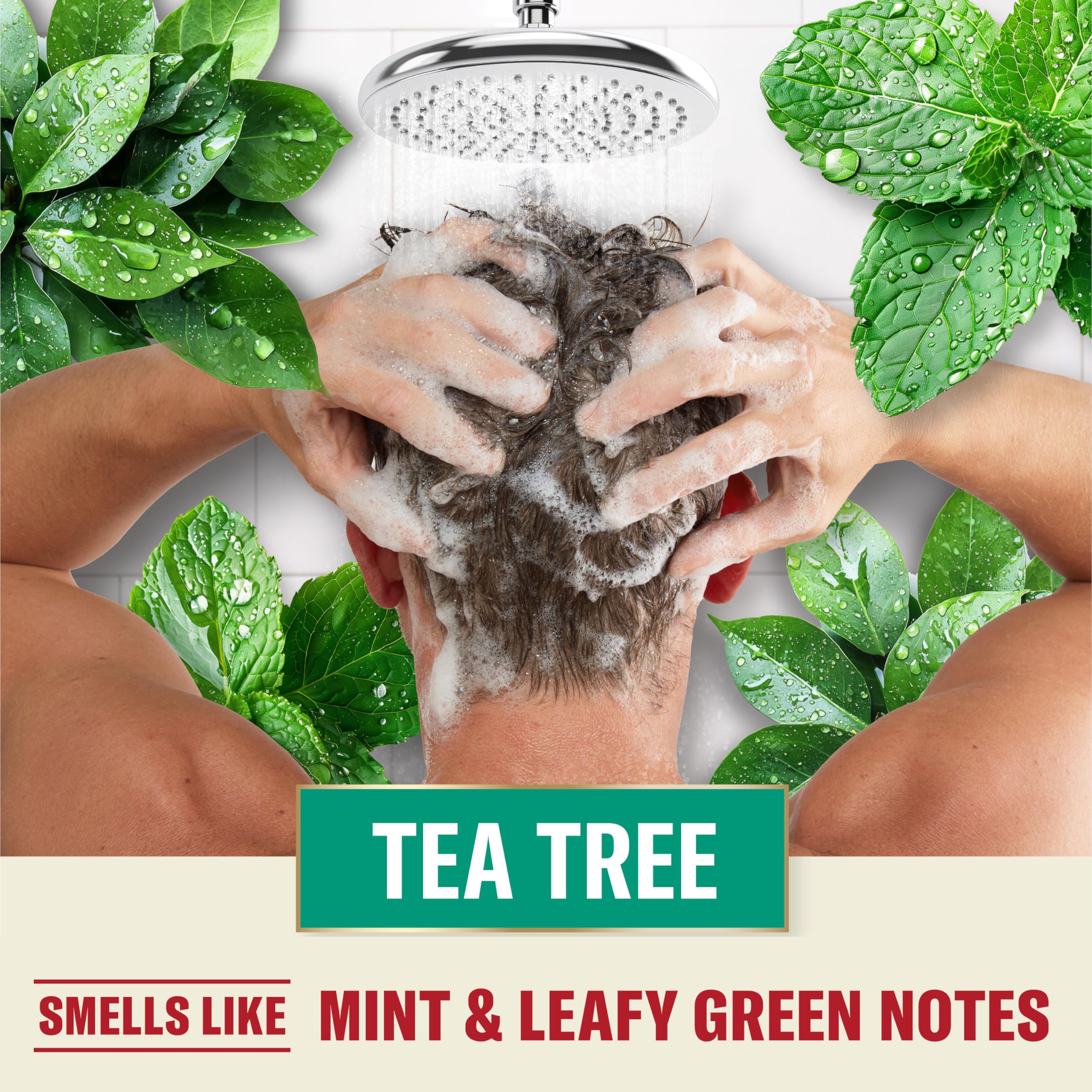 Old Spice Mens Tea Tree Shampoo, For All Hair Types, Healthier, Fuller, More Moisturized Looking Hair, 21.9 fl oz Each, Twin Pack - Image 6